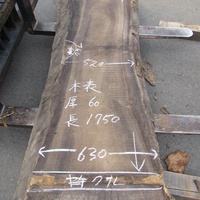 楠（クス）・椨（タブ）　試作家具用一枚板
