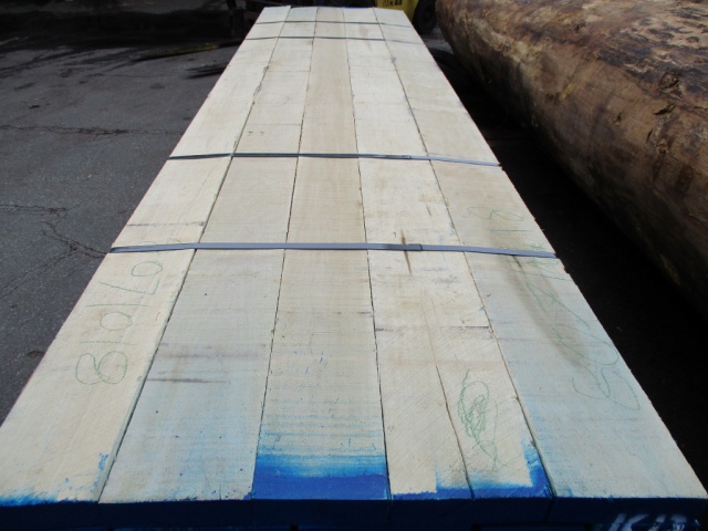 イエローポプラ　無垢材