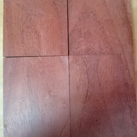 森の文庫本　 パドゥク