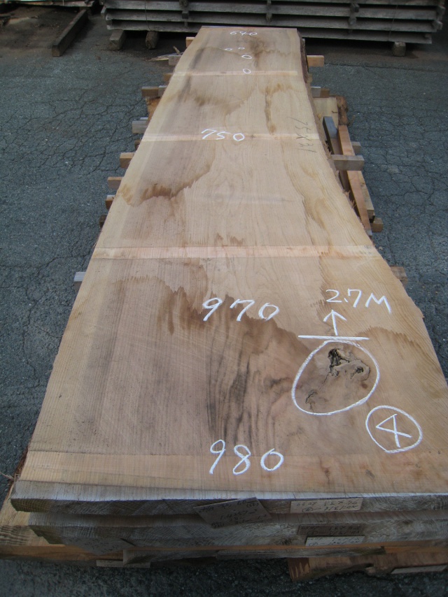 杉（スギ）　一枚板