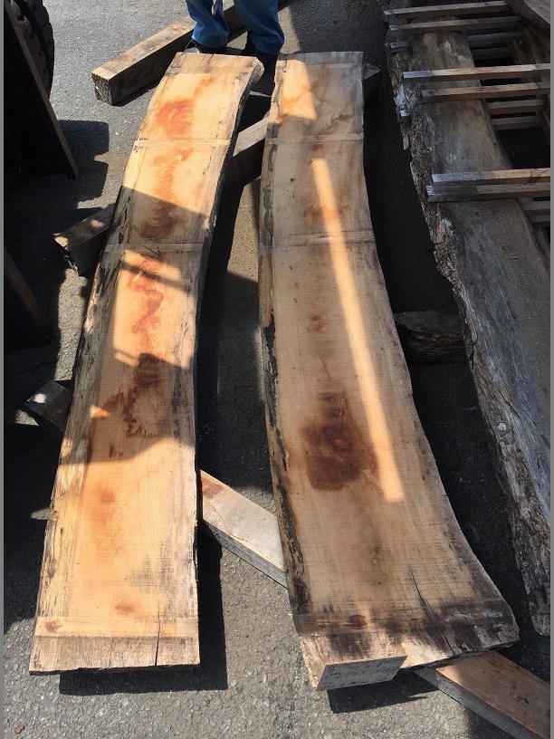 欅（ケヤキ）　無垢材