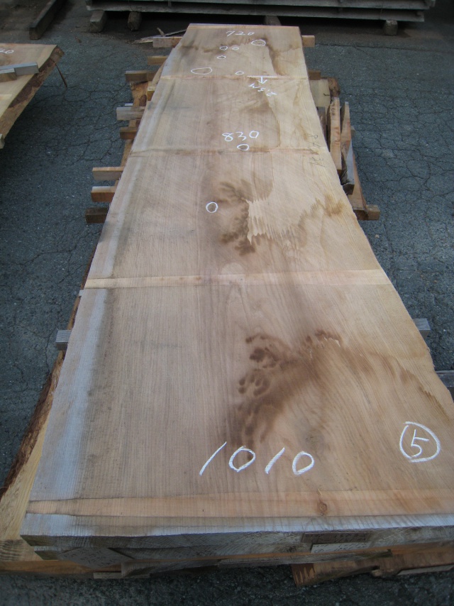 杉（スギ）　一枚板