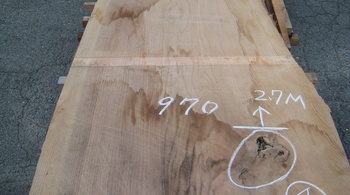 杉（スギ）　木彫り看板用一枚板【H29.7.6】
