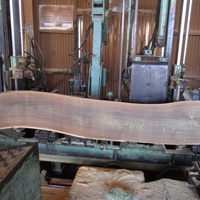 リグナムバイタ　丸太注文製材