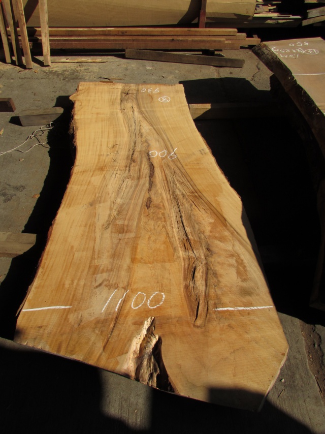 栃（トチ）　一枚板