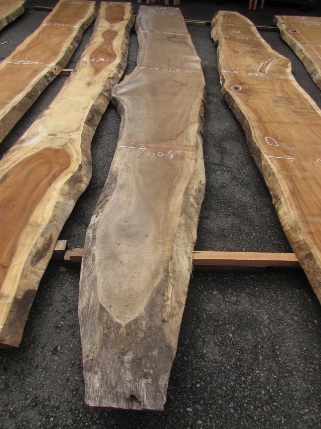 モンキーポッド　一枚板