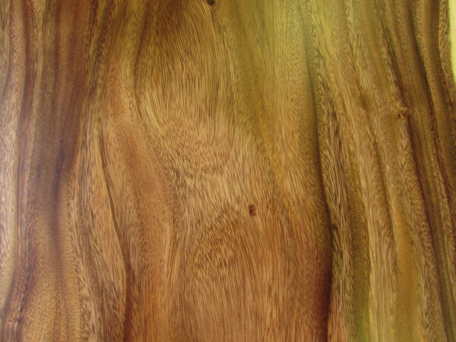 モンキーポッド　一枚板