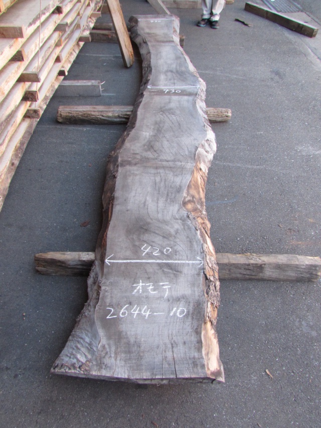 楠（クス）　一枚板