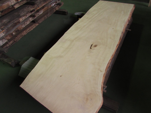 栃（トチ）　一枚板