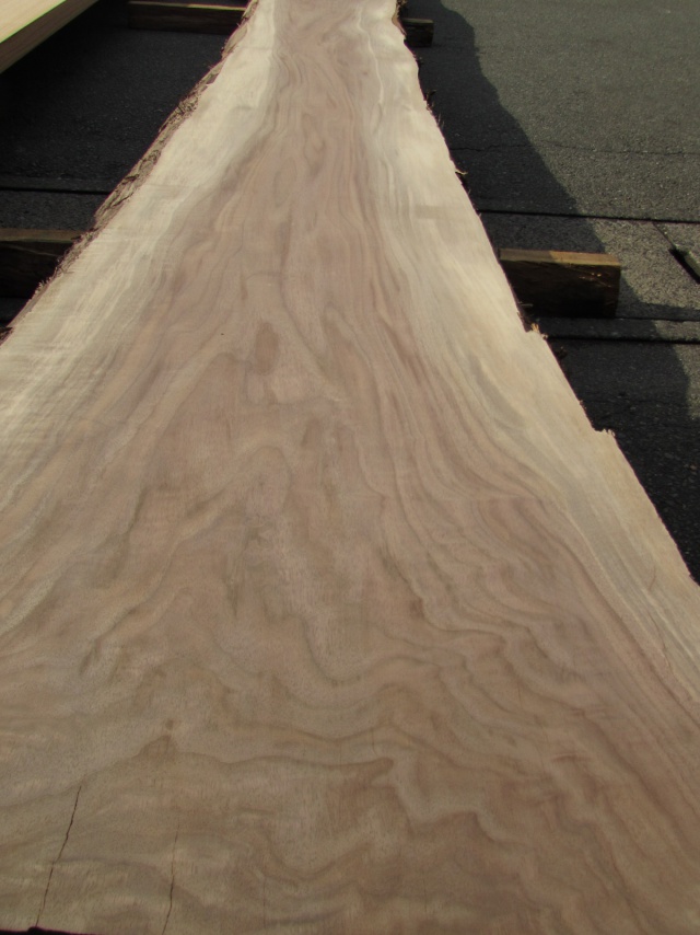 ウォールナット　一枚板