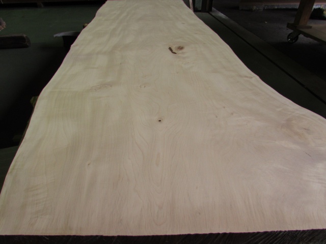 栃（トチ）　一枚板