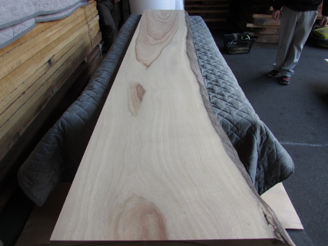 楠（クス）　一枚板