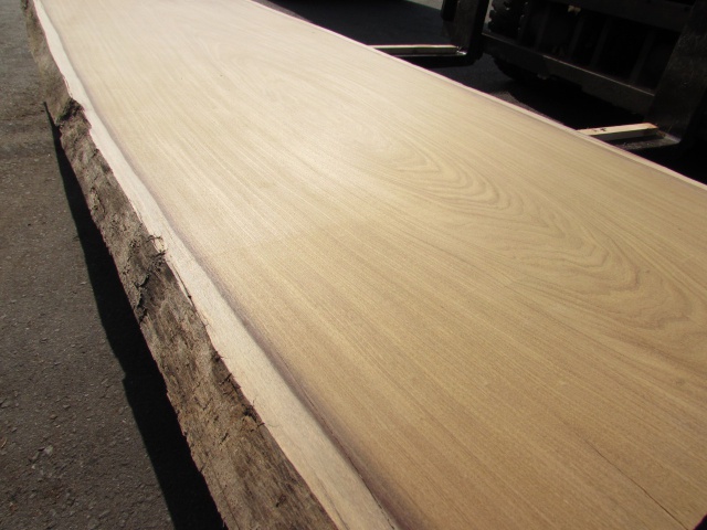 アサメラ　一枚板