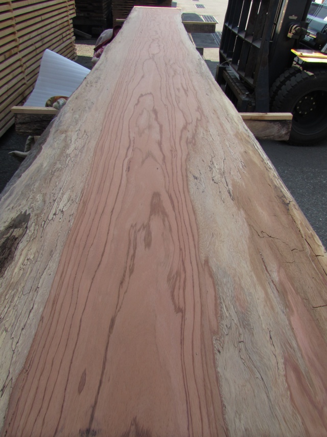 エビアラ　一枚板