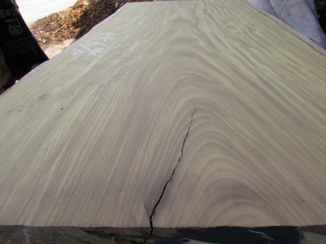 アサメラ　一枚板