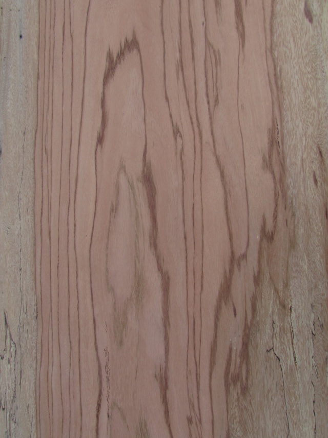 エビアラ　一枚板