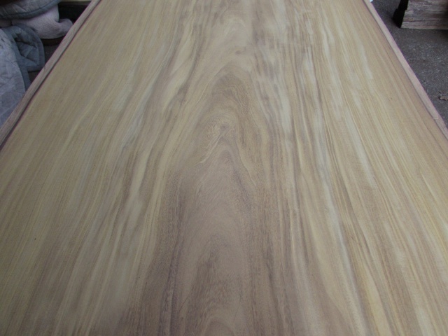 アサメラ　一枚板