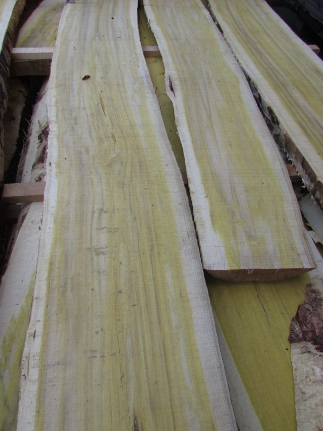 櫨（ハゼ）　無垢材