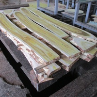 櫨（ハゼ）　丸太を寄木細工用に