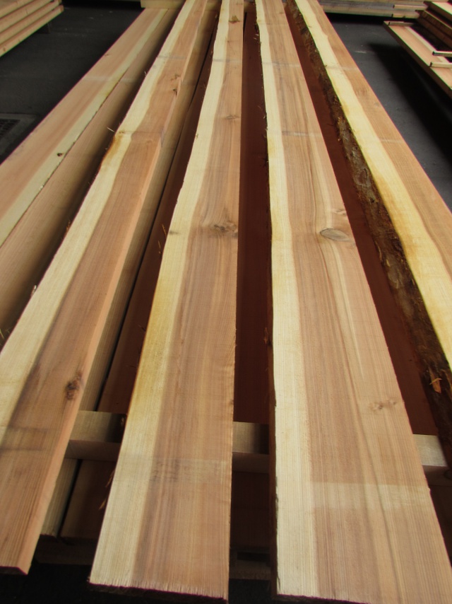 杉（スギ）　無垢材