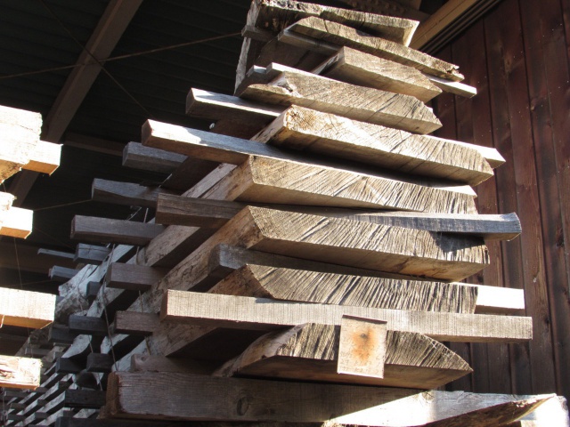 塩地（シオジ）　無垢材