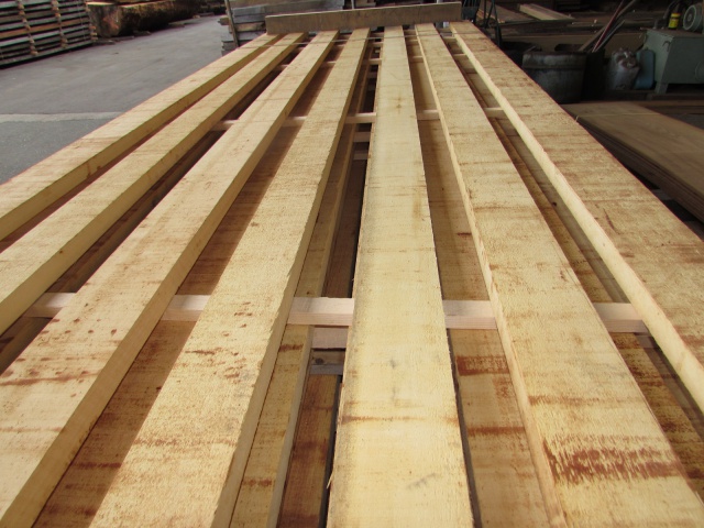 米檜葉（ベイヒバ）　無垢材