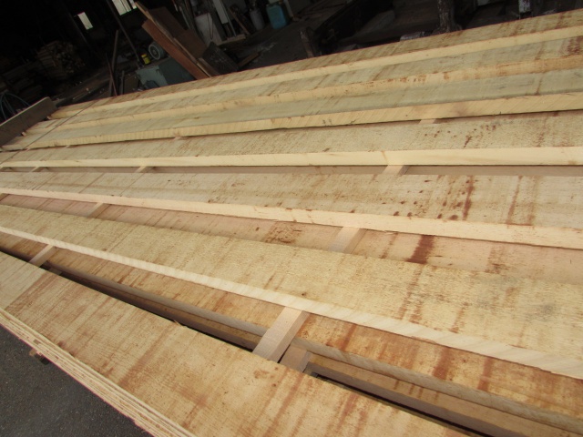 米檜葉（ベイヒバ）　無垢材