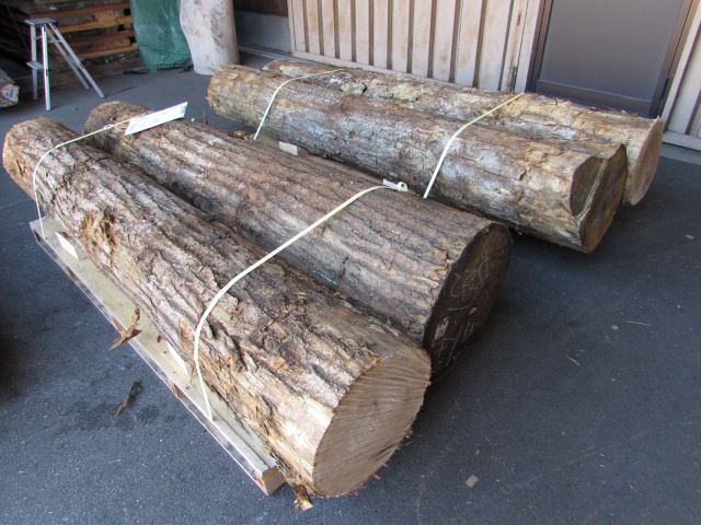 栗（クリ）　丸太