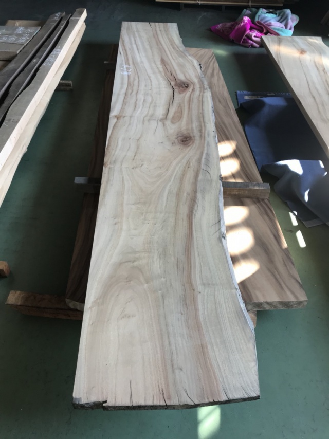 楠（クス）　一枚板