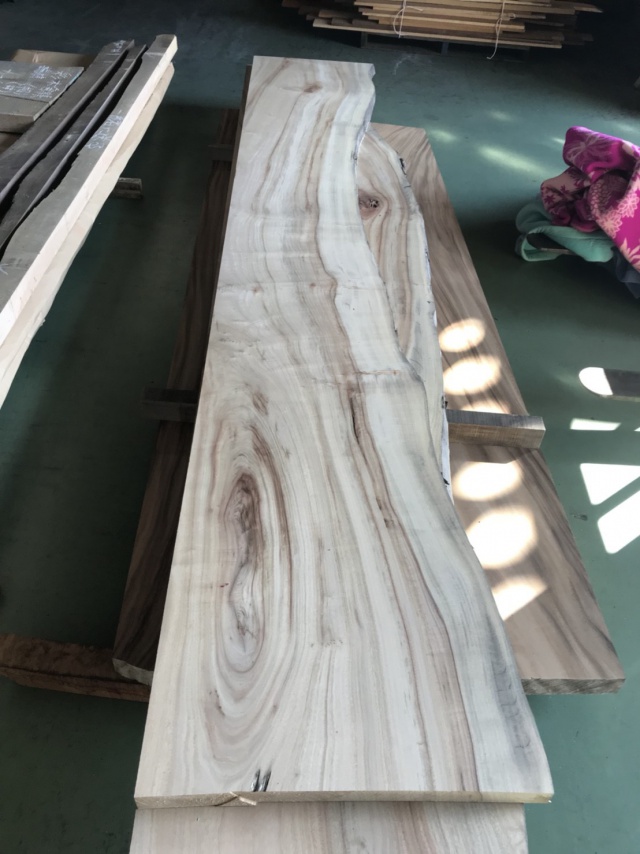 楠（クス）　一枚板