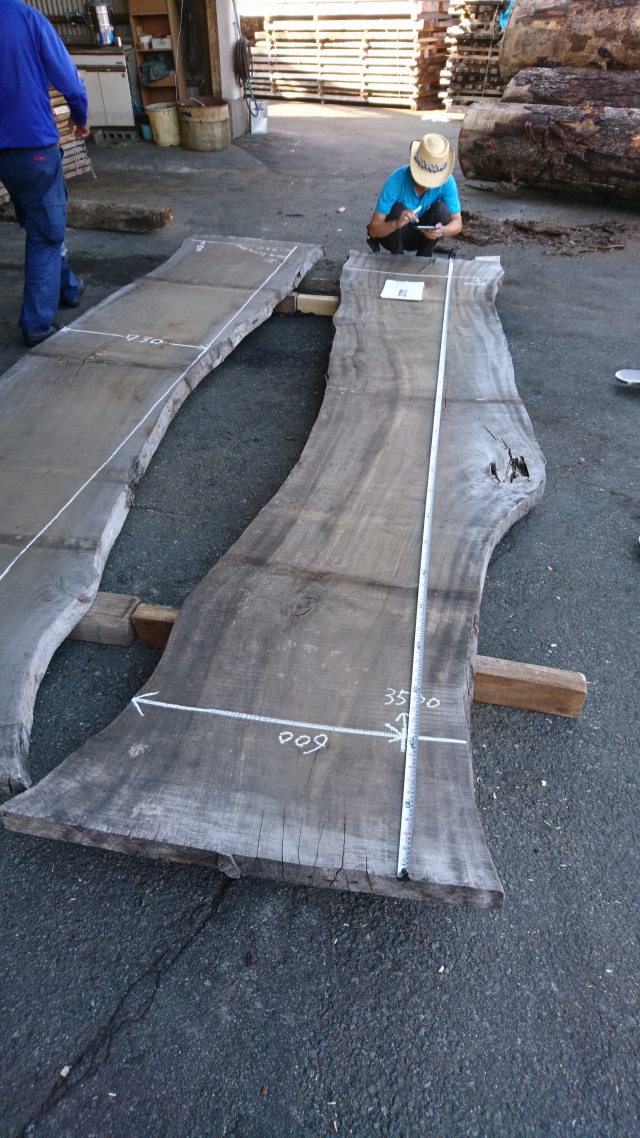 楠（クス）　一枚板