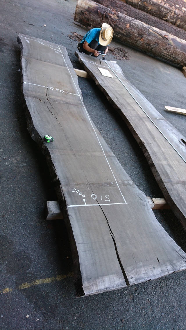 楠（クス）　一枚板