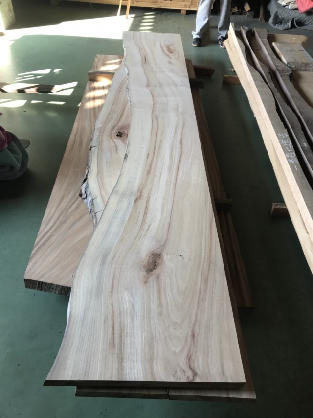 楠（クス）　一枚板