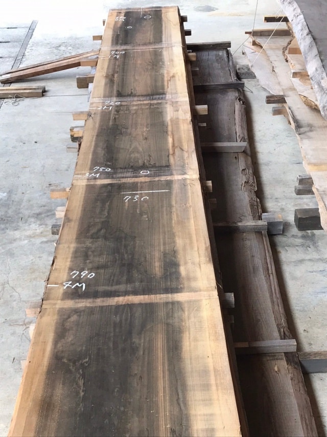 杉（スギ）　一枚板