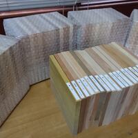 森の文庫本　国産材　木工の木材見本として