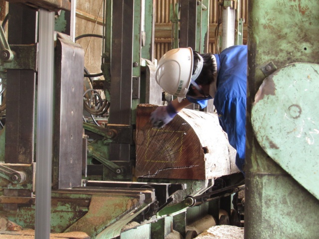 アピトン　無垢材