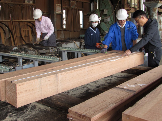 アピトン　無垢材