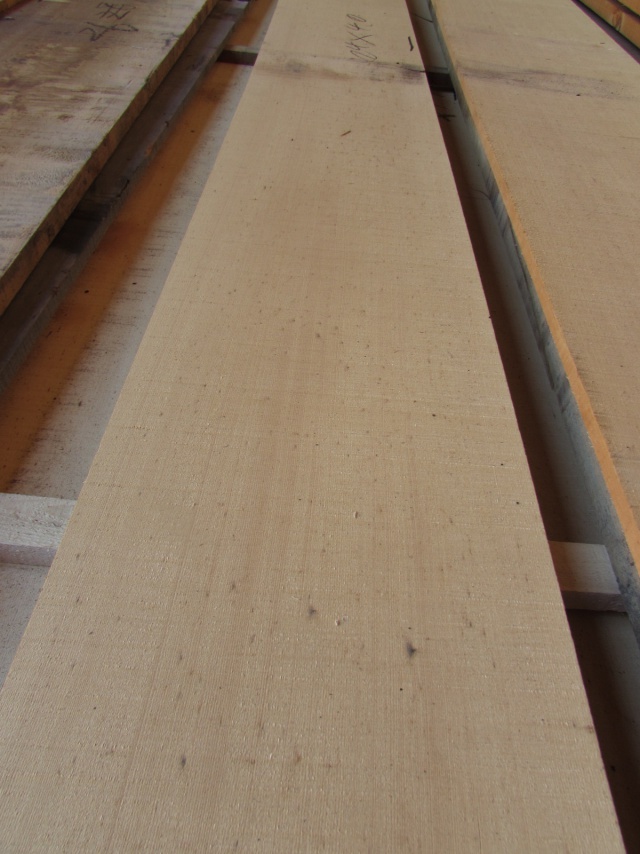 米檜葉（ベイヒバ）　無垢材