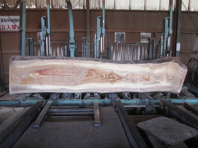 楠（クス）　無垢材