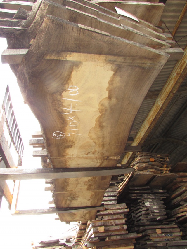 楠（クス）　無垢材