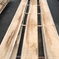 ホワイトセラヤ　工場入口の建具材