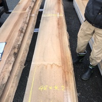 レッドセラヤ　集成天板用