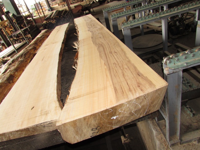 槇（マキ）　無垢材