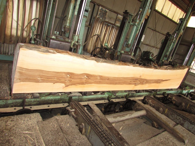 槇（マキ）　無垢材