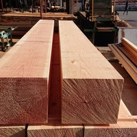 米松（ベイマツ）　厘木用