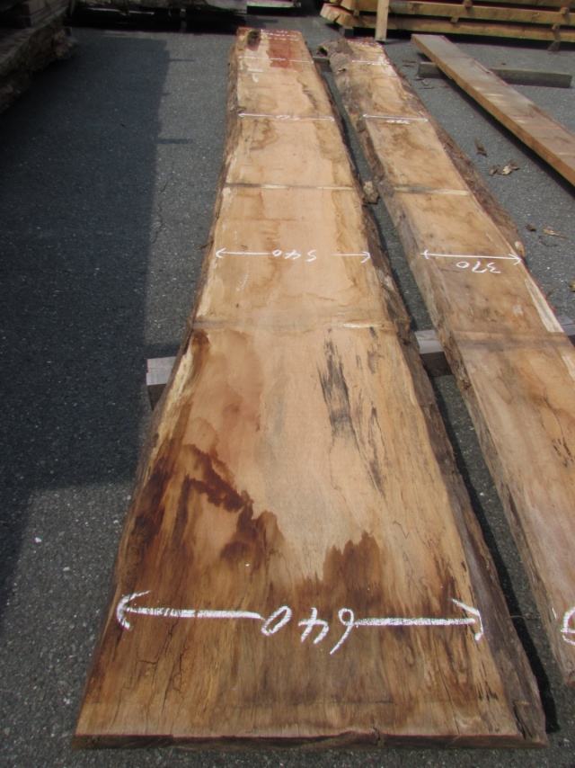 エビアラ　一枚板