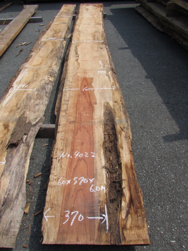 エビアラ　一枚板