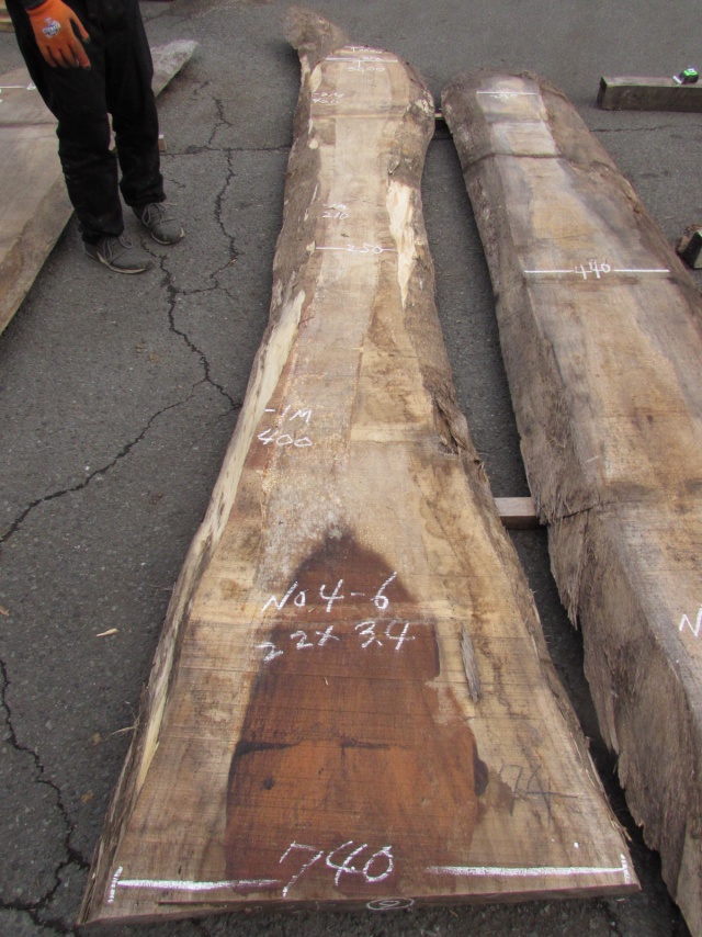 モンキーポッド　一枚板