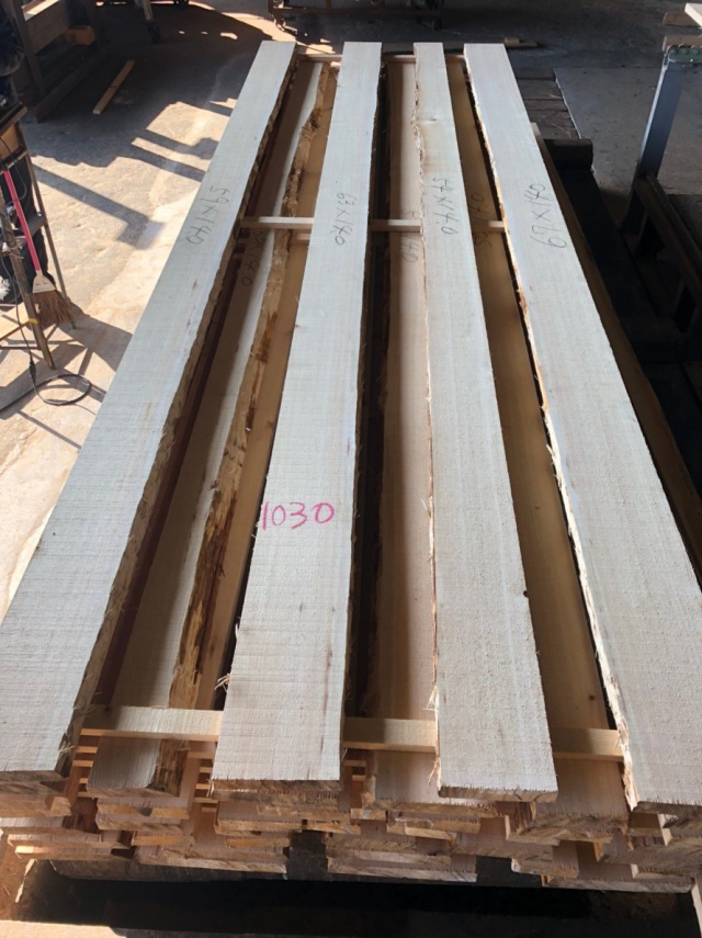 杉（スギ）　無垢材