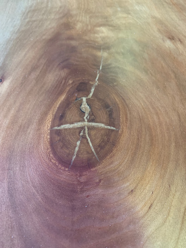 シカモア　一枚板